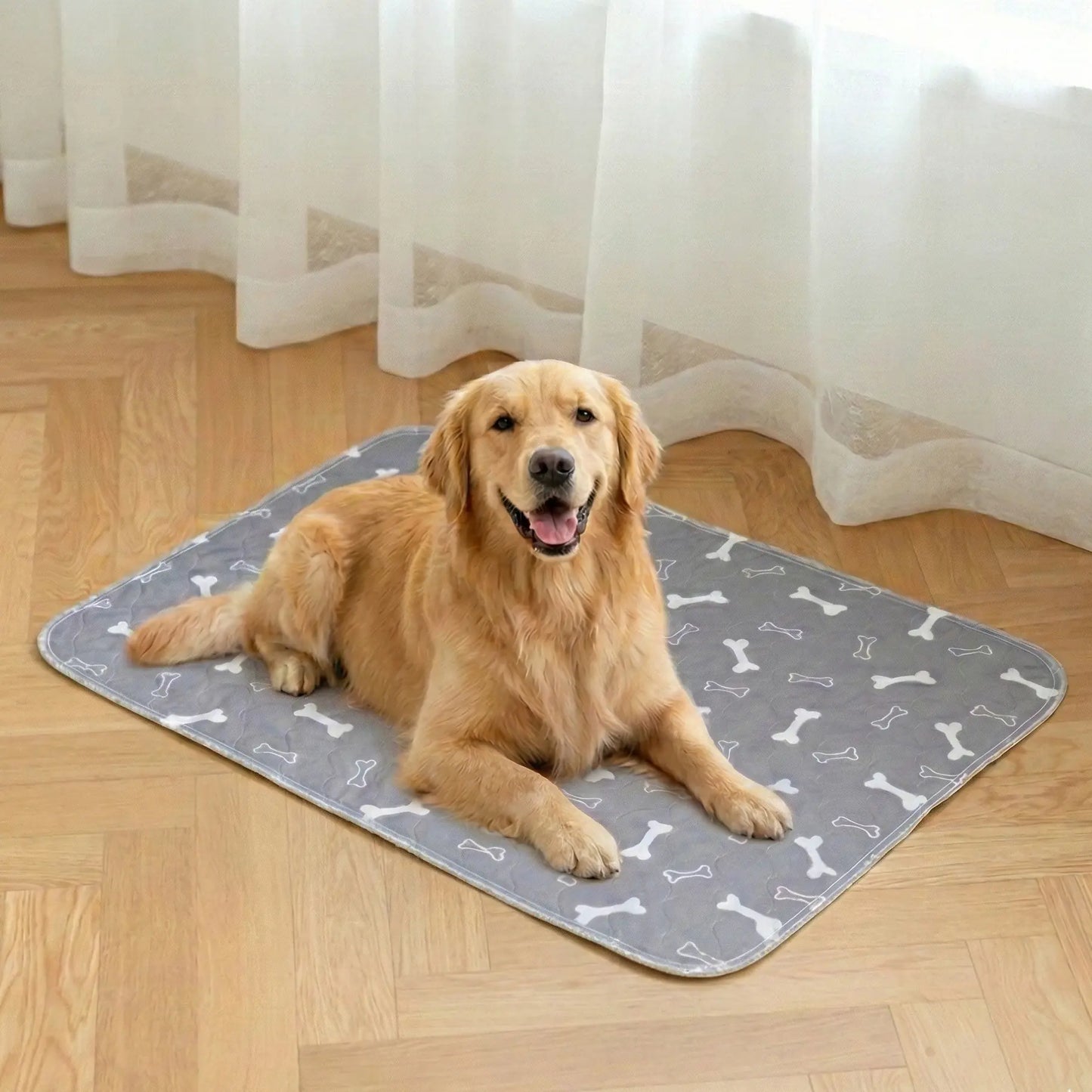 PatiPed Yıkanabilir Köpek Çiş Pedi