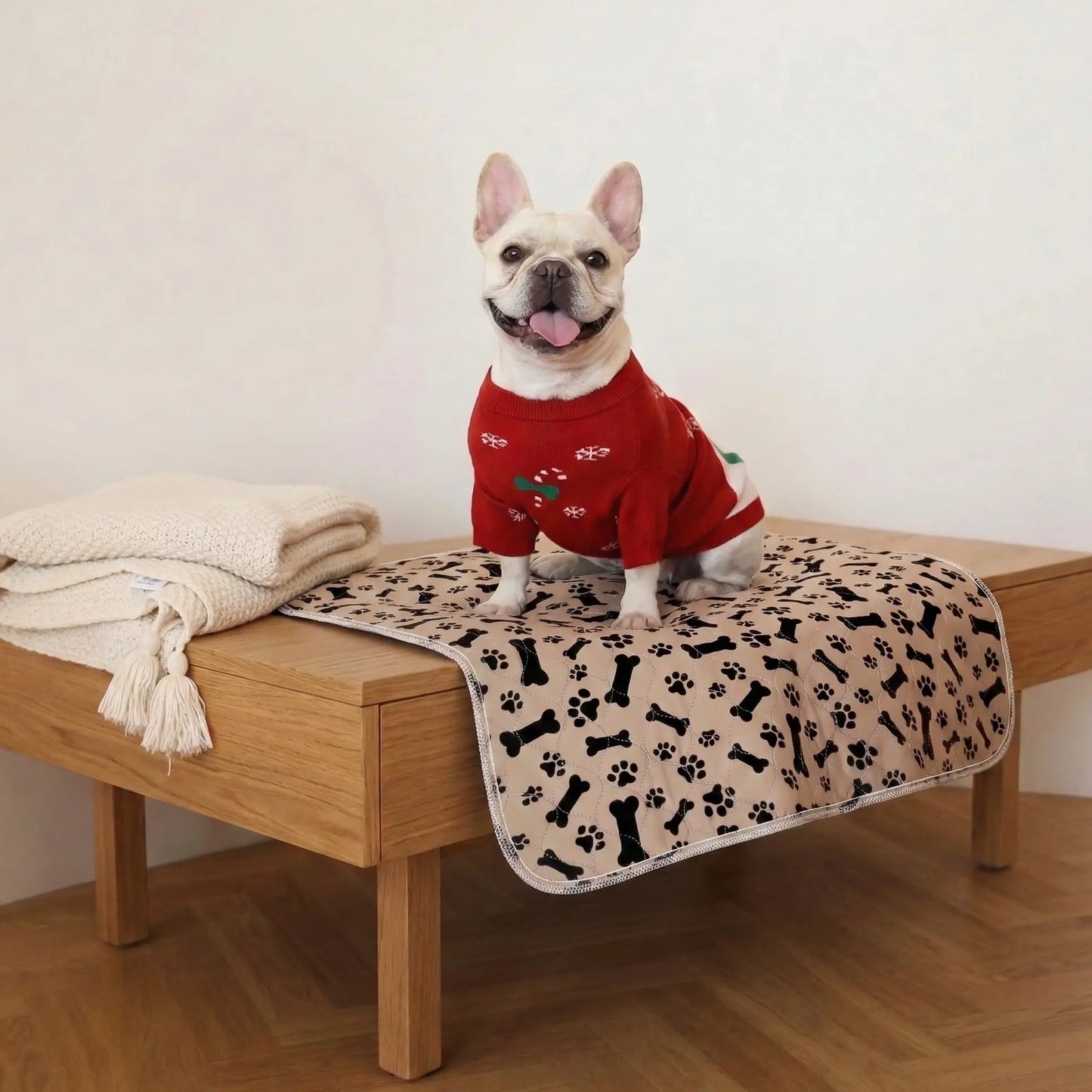 PatiPed Yıkanabilir Köpek Çiş Pedi